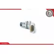 Capteur d'angle, vilebrequin ESEN SKV 17SKV278 - Visuel 1