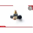 Capteur d'angle, vilebrequin ESEN SKV 17SKV280 - Visuel 1