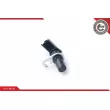Capteur d'angle, vilebrequin ESEN SKV 17SKV309 - Visuel 2