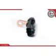 Capteur d'angle, vilebrequin ESEN SKV 17SKV319 - Visuel 1