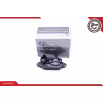 Capteur, pression des gaz échappement ESEN SKV 17SKV328