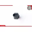 Capteur, kilométrage ESEN SKV 17SKV339 - Visuel 1