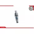 Capteur, vitesse ESEN SKV 17SKV363 - Visuel 2