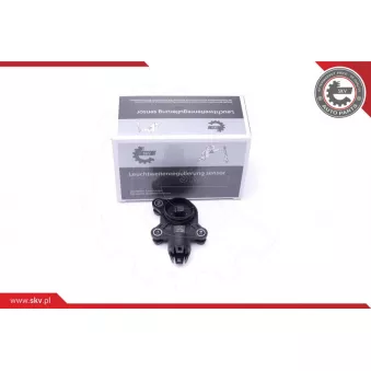 Capteur, arbre excentrique (levée variable) ESEN SKV 17SKV424