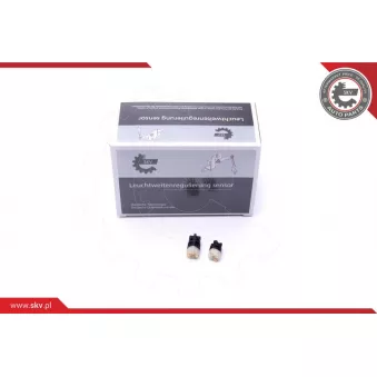 Appareil de commande, boîte automatique ESEN SKV 17SKV470