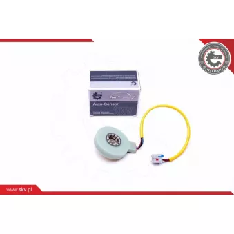 Détecteur de l'angle de braquage ESEN SKV 17SKV482