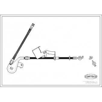 Flexible de frein avant gauche CORTECO 19034953