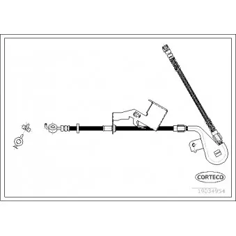 Flexible de frein avant droit CORTECO 19034954