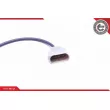 Capteur d'angle, vilebrequin ESEN SKV 17SKV516 - Visuel 3