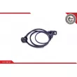 Capteur d'angle, vilebrequin ESEN SKV 17SKV527 - Visuel 2