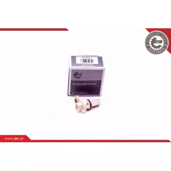 Capteur d'angle, vilebrequin ESEN SKV 17SKV528