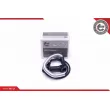 Capteur d'angle, vilebrequin ESEN SKV 17SKV531 - Visuel 1