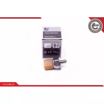 Capteur, pression de carburant ESEN SKV 17SKV581