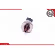Capteur, pression de carburant ESEN SKV 17SKV589 - Visuel 3