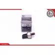 Capteur, pression de carburant ESEN SKV 17SKV598 - Visuel 1