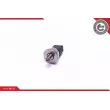 Capteur, pression de carburant ESEN SKV 17SKV613 - Visuel 2