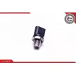 Capteur, pression de carburant ESEN SKV 17SKV615 - Visuel 2