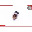 Capteur, pression de carburant ESEN SKV 17SKV617 - Visuel 2