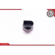 Capteur, pression de carburant ESEN SKV 17SKV617 - Visuel 3