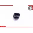 Capteur, pression de carburant ESEN SKV 17SKV618 - Visuel 3