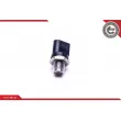 Capteur, pression de carburant ESEN SKV 17SKV621 - Visuel 2