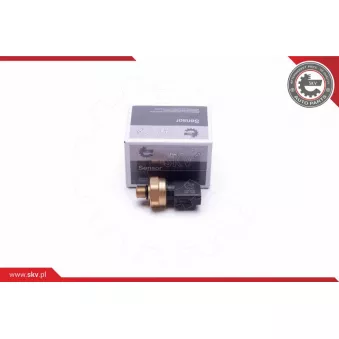 Capteur, pression de carburant ESEN SKV