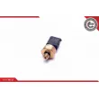 Capteur, pression de carburant ESEN SKV 17SKV622 - Visuel 2