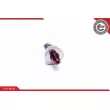 Capteur, pression de carburant ESEN SKV 17SKV623 - Visuel 2