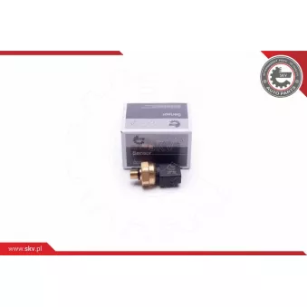 Capteur, pression de carburant ESEN SKV 17SKV624