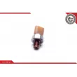 Capteur, pression de carburant ESEN SKV 17SKV627 - Visuel 2