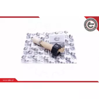 Capteur, niveau d'eau de refroidissement ESEN SKV 17SKV639