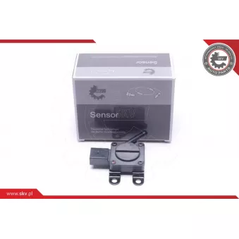 Capteur, pression des gaz échappement ESEN SKV 17SKV665