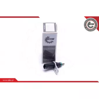 Sonde de température, liquide de refroidissement ESEN SKV 17SKV674