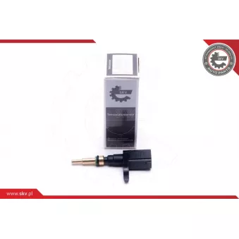 Sonde de température, liquide de refroidissement ESEN SKV