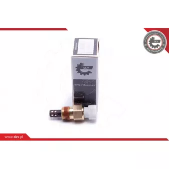Capteur, température de l'air d'admission ESEN SKV 17SKV678