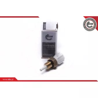 Capteur, température de l'air d'admission ESEN SKV 17SKV688