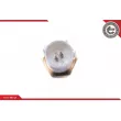 Capteur, température de l'air d'admission ESEN SKV 17SKV688 - Visuel 3