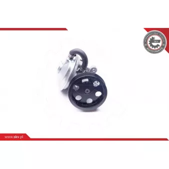 Pompe à vide, freinage ESEN SKV 18SKV020