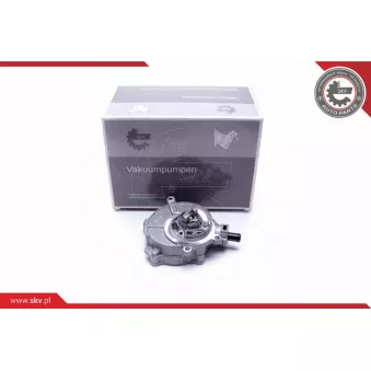 Pompe à vide, freinage ESEN SKV 18SKV033
