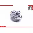 Pompe à vide, freinage ESEN SKV 18SKV041 - Visuel 3