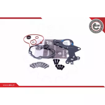 Kit de réparation, pompe à vide (freinage) ESEN SKV 18SKV801