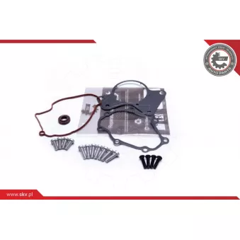 Kit de réparation, pompe à vide (freinage) ESEN SKV 18SKV802