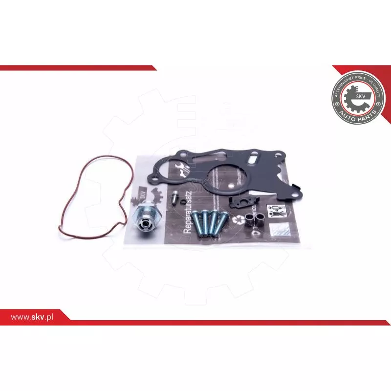 Kit de réparation, pompe à vide (freinage) ESEN SKV 18SKV803