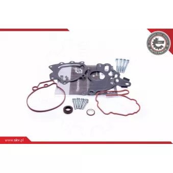 Kit de réparation, pompe à vide (freinage) ESEN SKV 18SKV804