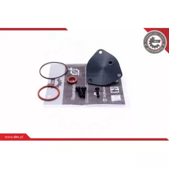 Kit de réparation, pompe à vide (freinage) ESEN SKV 18SKV806