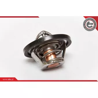 Thermostat d'eau ESEN SKV 20SKV015