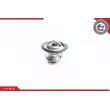 Thermostat d'eau ESEN SKV 20SKV043 - Visuel 1