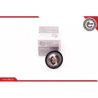 Thermostat, liquide de refroidissement ESEN SKV 20SKV047