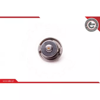 Thermostat, liquide de refroidissement ESEN SKV 20SKV048