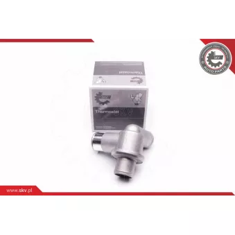 Thermostat, liquide de refroidissement ESEN SKV 20SKV051